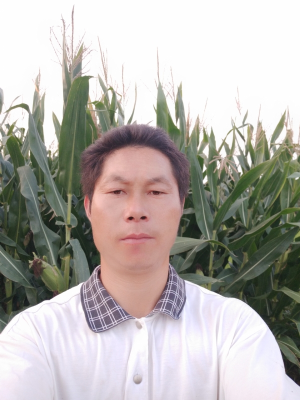 四海游龙的第二张照片--龙岩相亲网